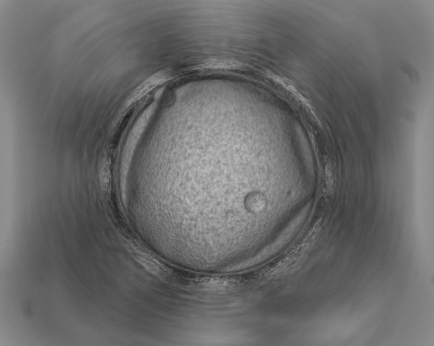 X0000112921266200909141305