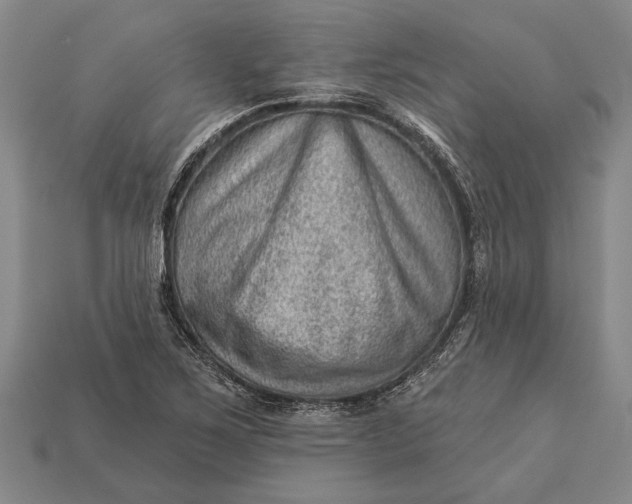 X0000112921267200909141305