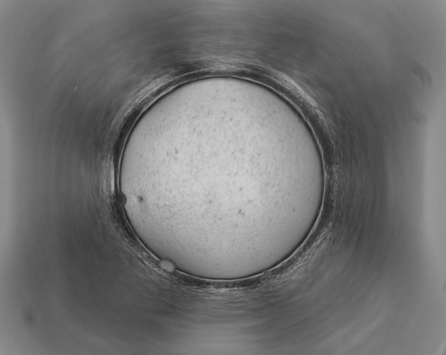 X0000112921269200909141305