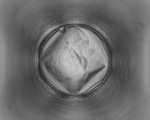X0000112921270200909141305