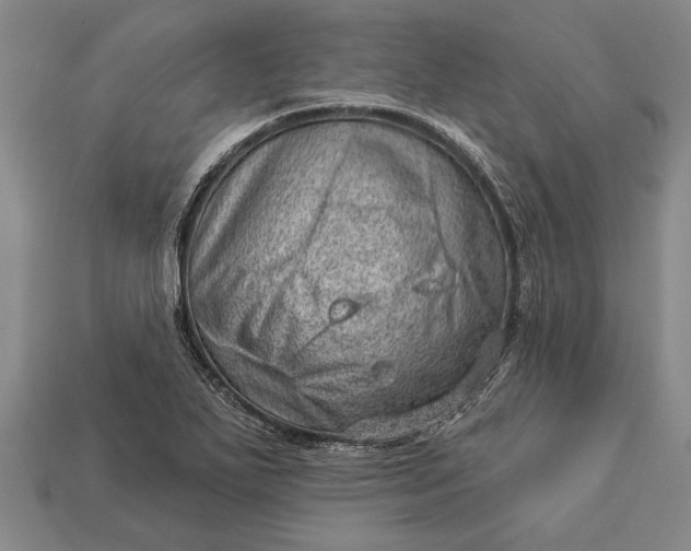 X0000112921271200909141305