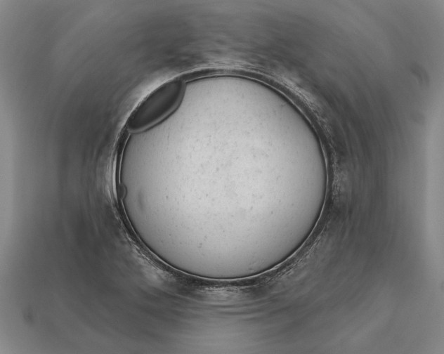 X0000112921272200909141305