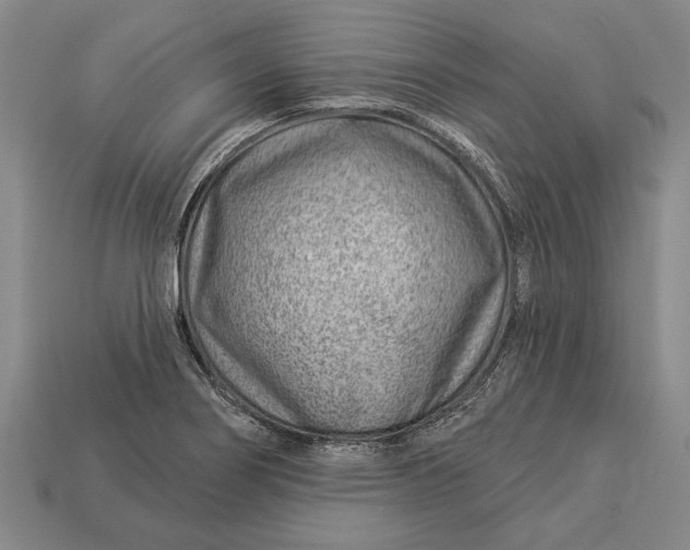 X0000112921274200909141305