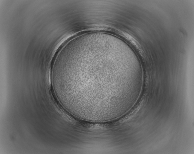 X0000112921275200909141305