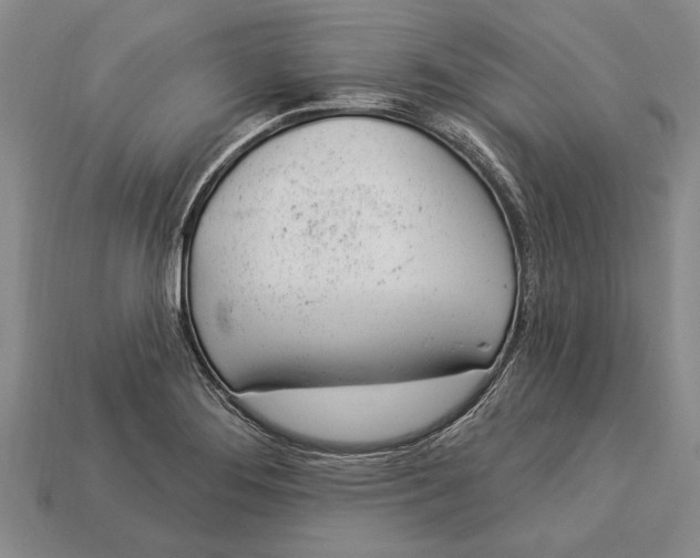 X0000112921276200909141305