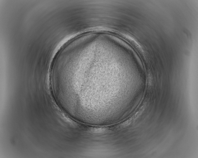 X0000112921278200909141305