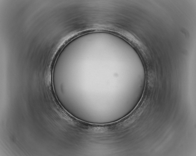 X0000112921280200909141305