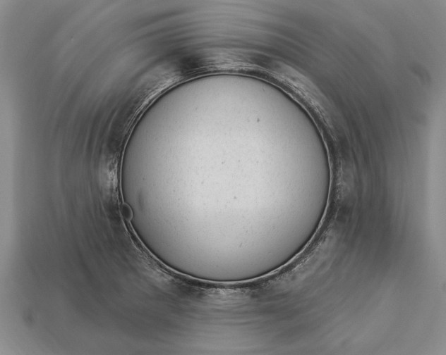 X0000112921281200909141305