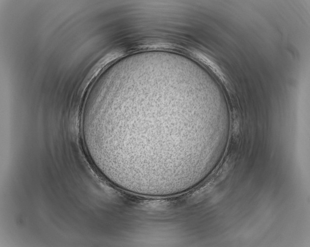 X0000112921282200909141305