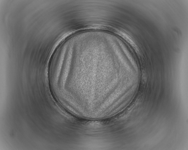 X0000112921283200909141305