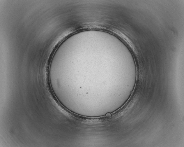 X0000112921285200909141305
