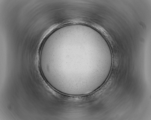 X0000112921286200909141305