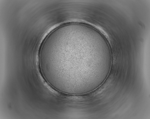 X0000112921287200909141305