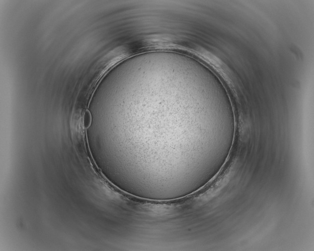 X0000112921289200909141305