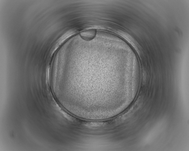 X0000112921290200909141305