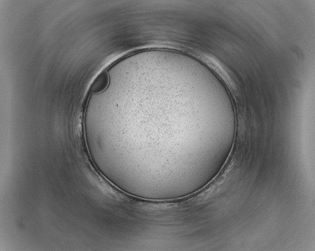X0000112921292200909141305