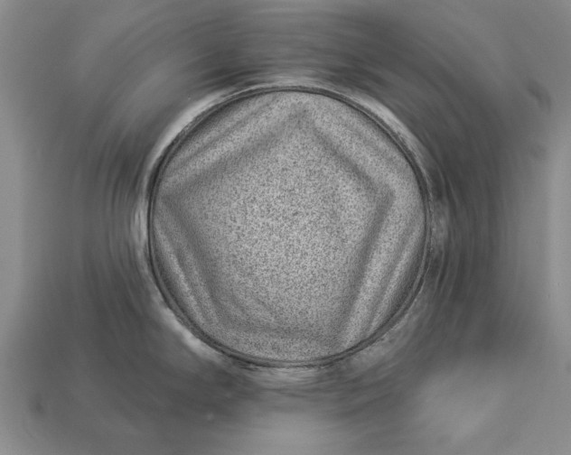 X0000112921294200909141305