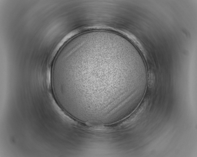 X0000112921295200909141305