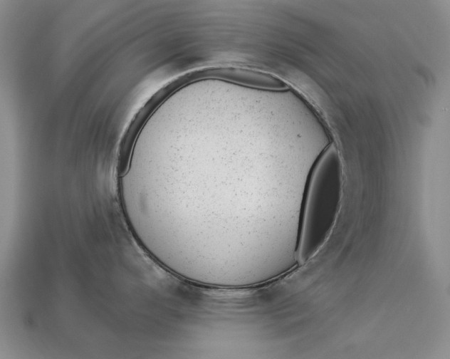 X0000112921296200909141305
