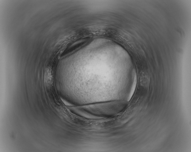 X0000112921298200909141304