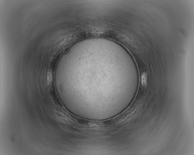 X0000112921299200909141304