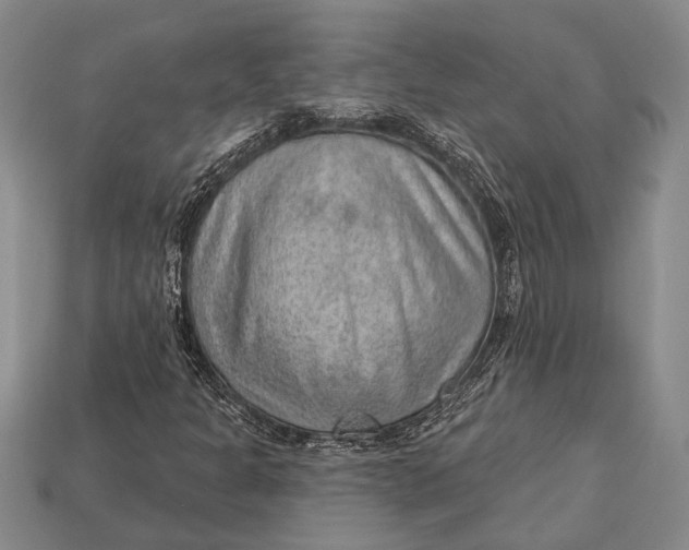 X0000112921301200909141304