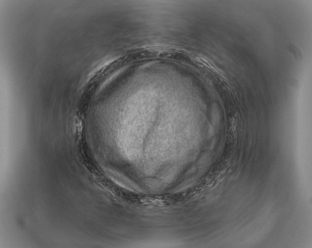 X0000112921302200909141304