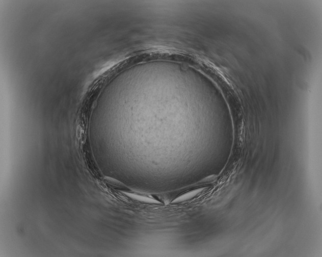 X0000112921303200909141304