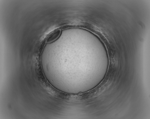 X0000112921304200909141304
