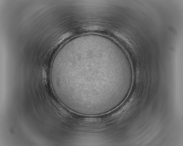 X0000112921305200909141304