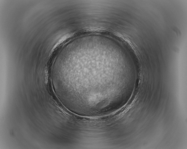 X0000112921306200909141304