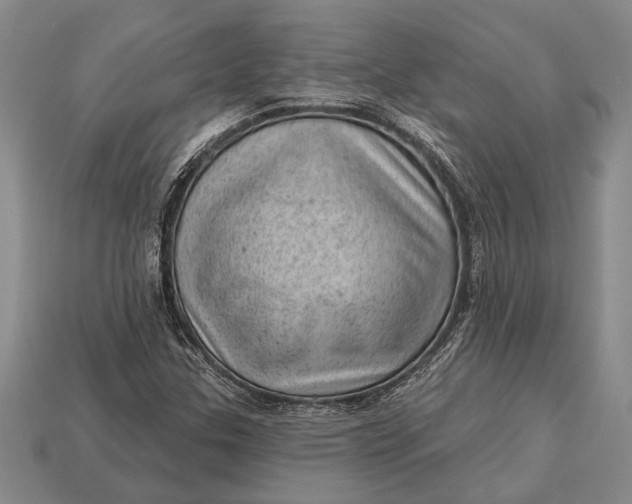 X0000112921307200909141304