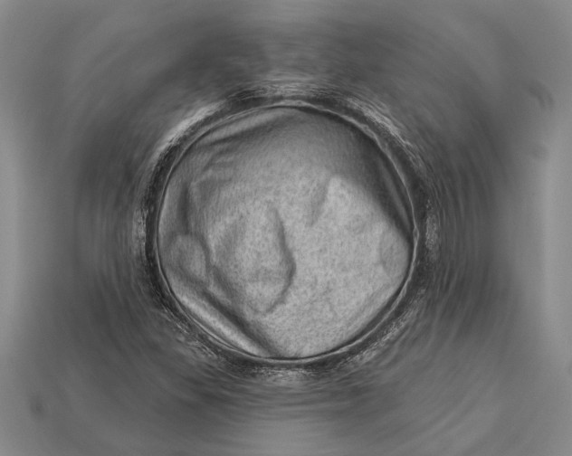X0000112921309200909141304