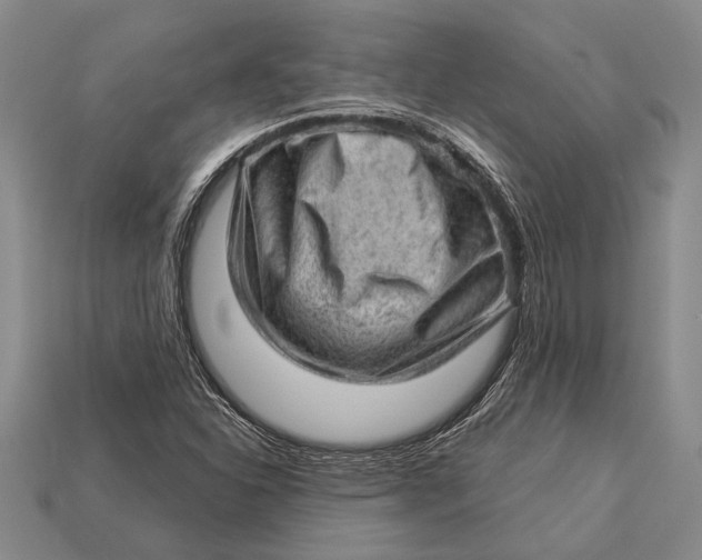 X0000112921310200909141304