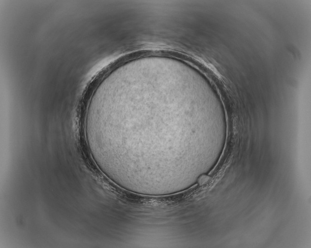 X0000112921311200909141304