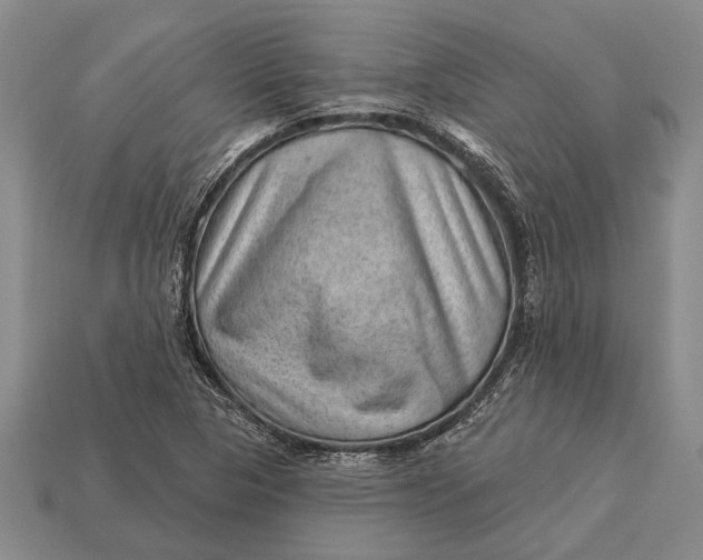X0000112921313200909141304