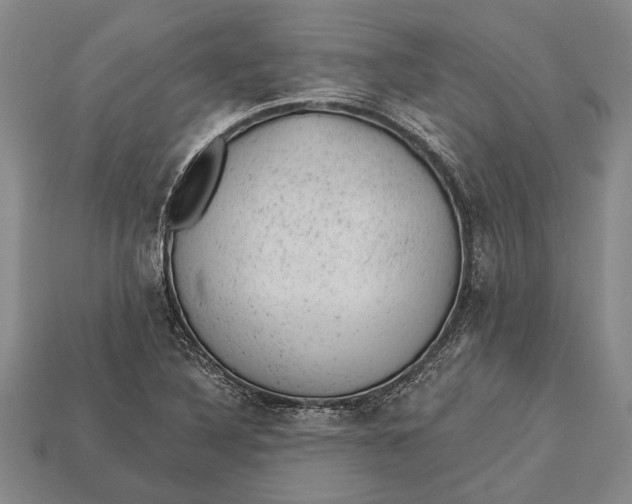 X0000112921316200909141304