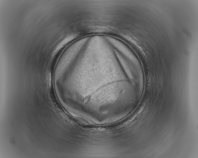X0000112921317200909141304