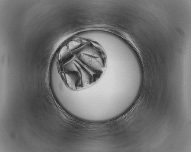 X0000112921320200909141304