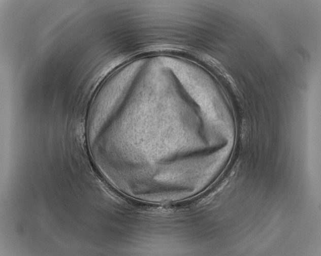 X0000112921321200909141304