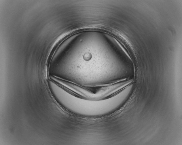 X0000112921324200909141304