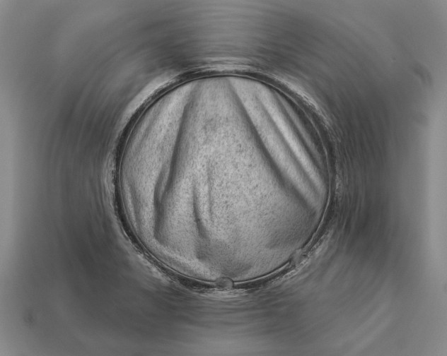 X0000112921325200909141304