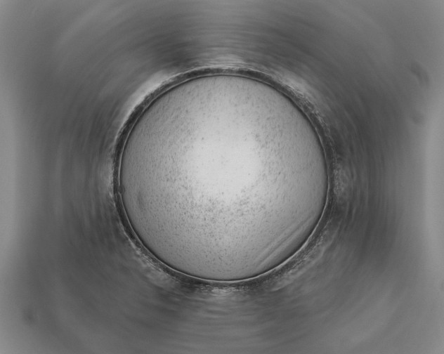 X0000112921326200909141304