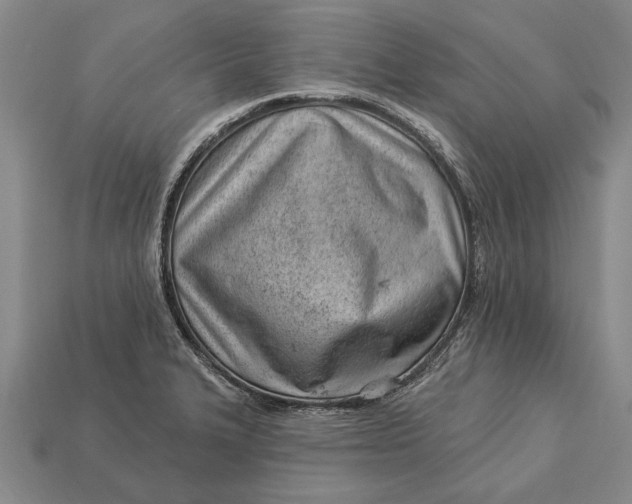 X0000112921327200909141304