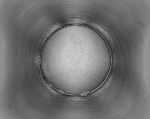 X0000112921329200909141304