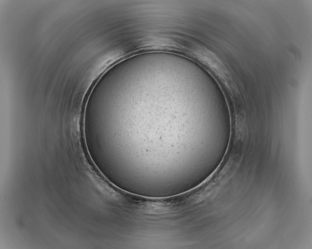 X0000112921330200909141304