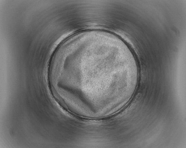 X0000112921333200909141305