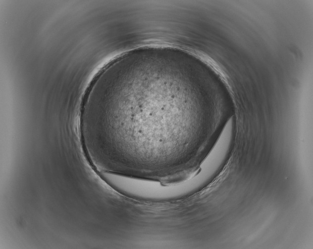 X0000112921334200909141305