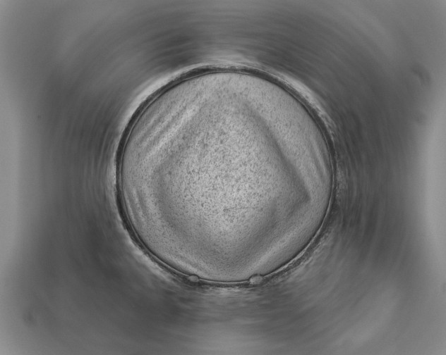 X0000112921335200909141305