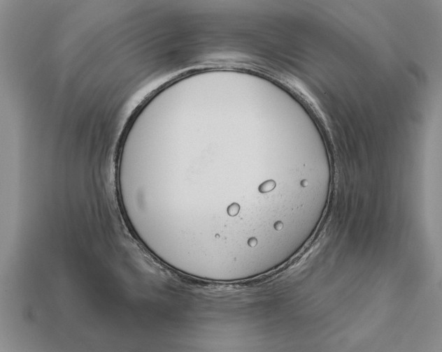 X0000112921336200909141305